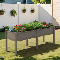 planter boxes raised