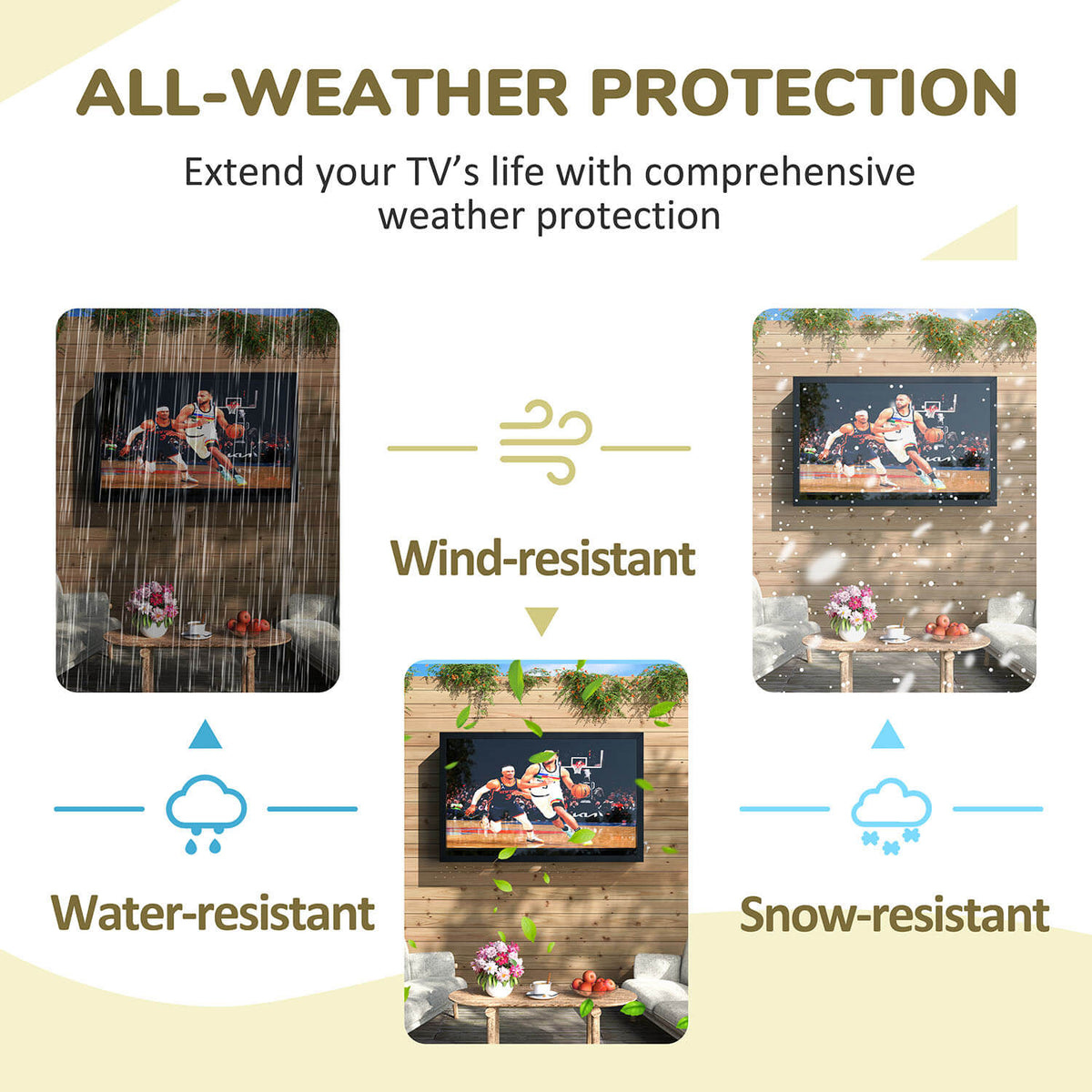 Outdoor TV Enclosure