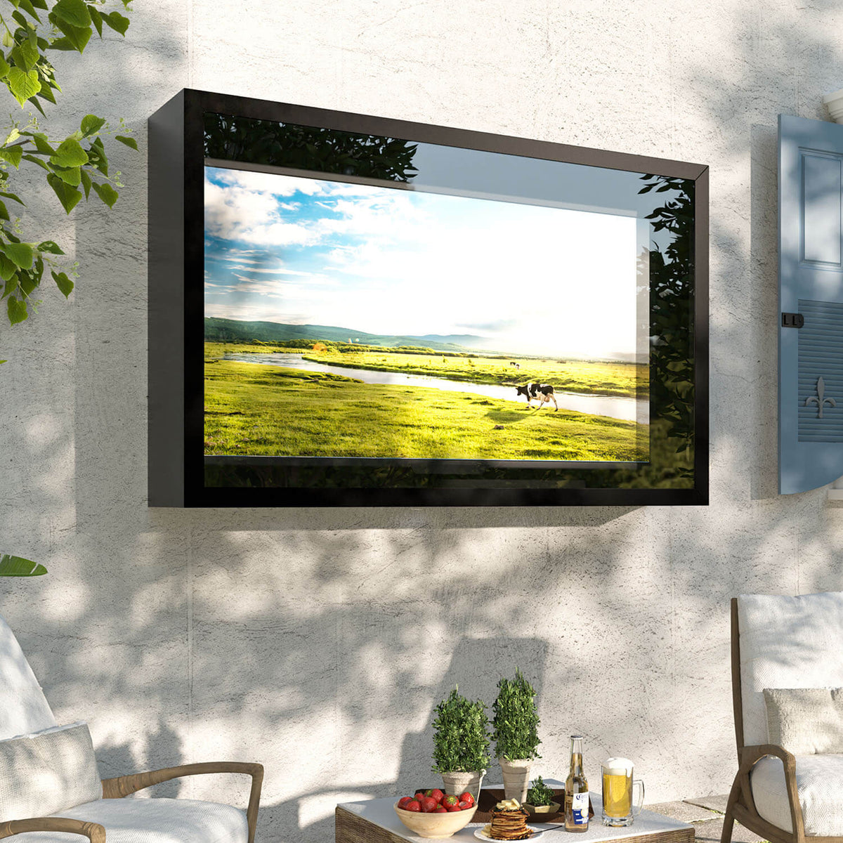 TV case with transparent panel