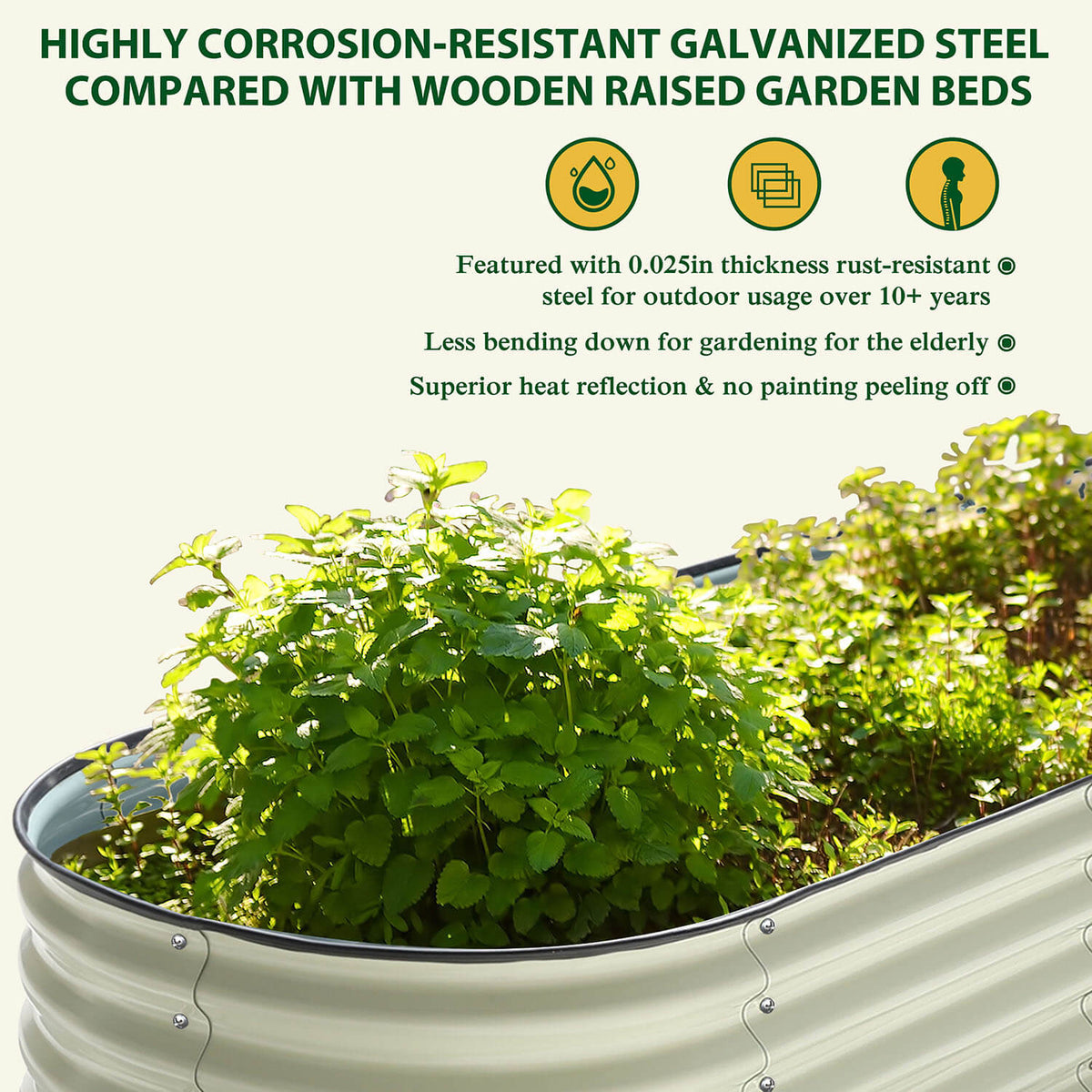 corrosion-resistant garden bed for Vegetables