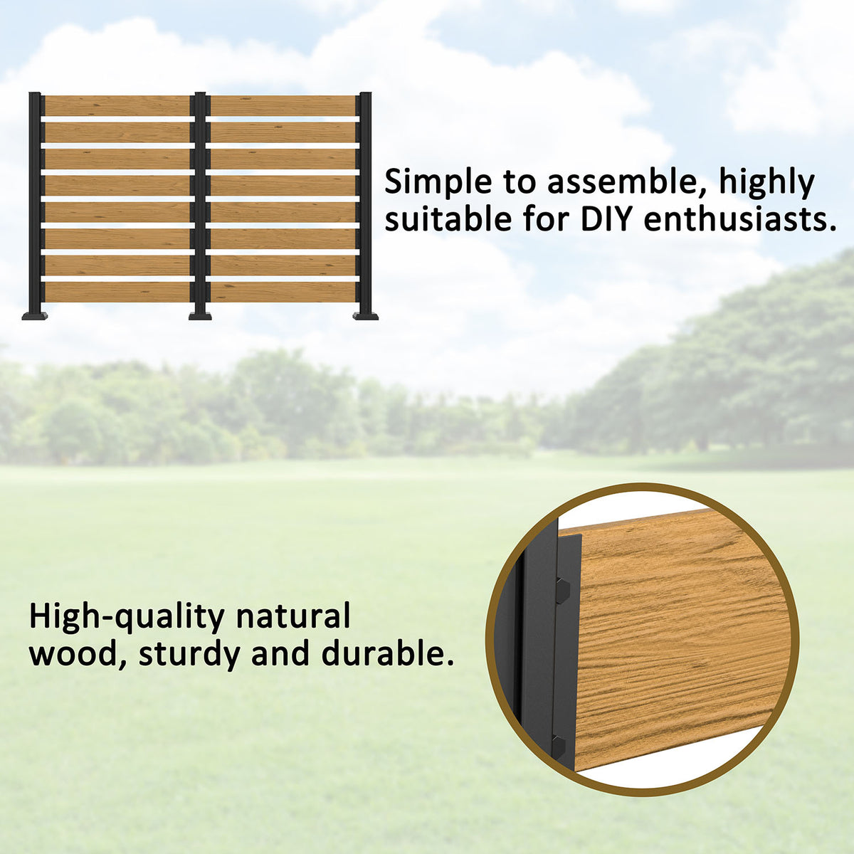 2PCS Screen Panel