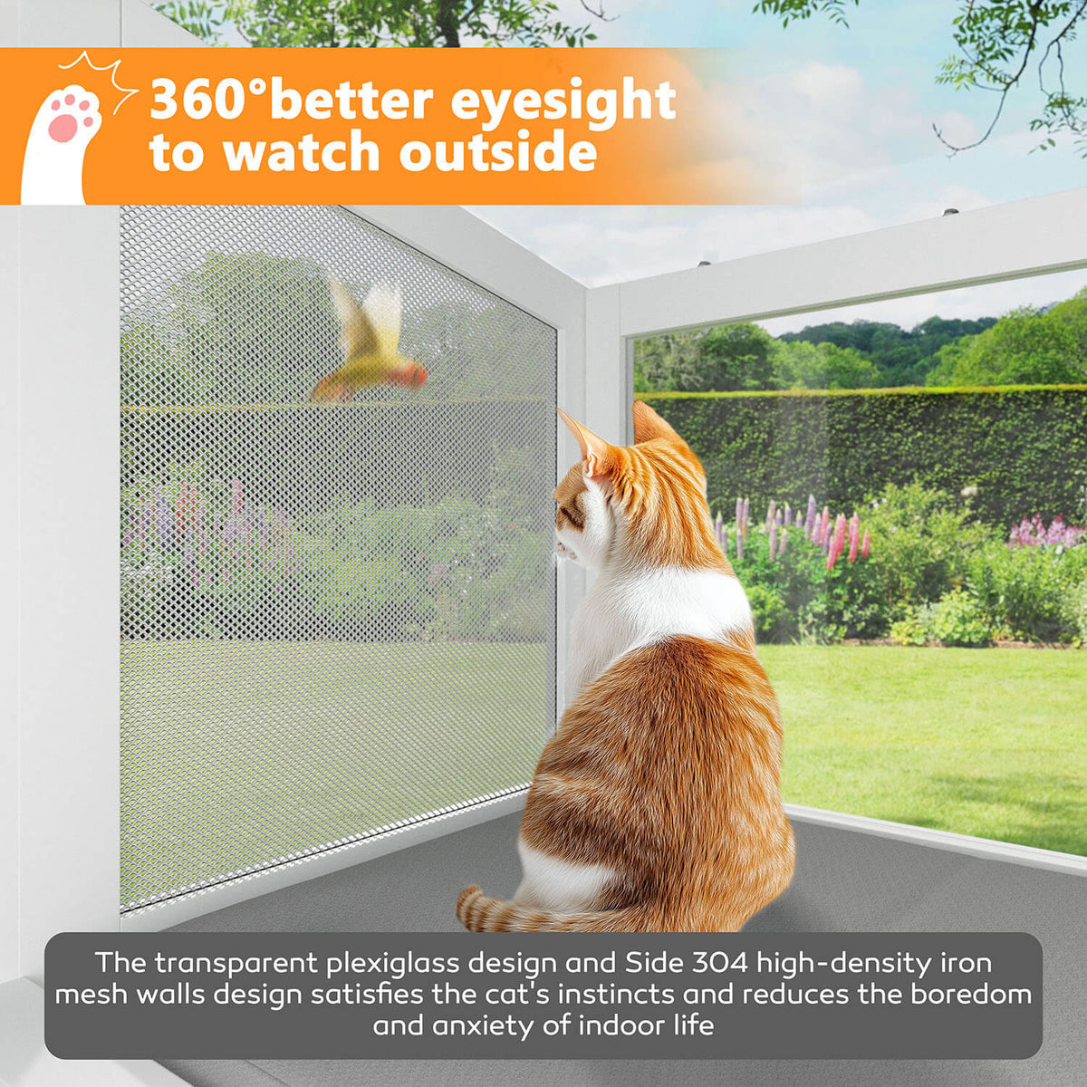 Outdoor Cat Enclosure Window