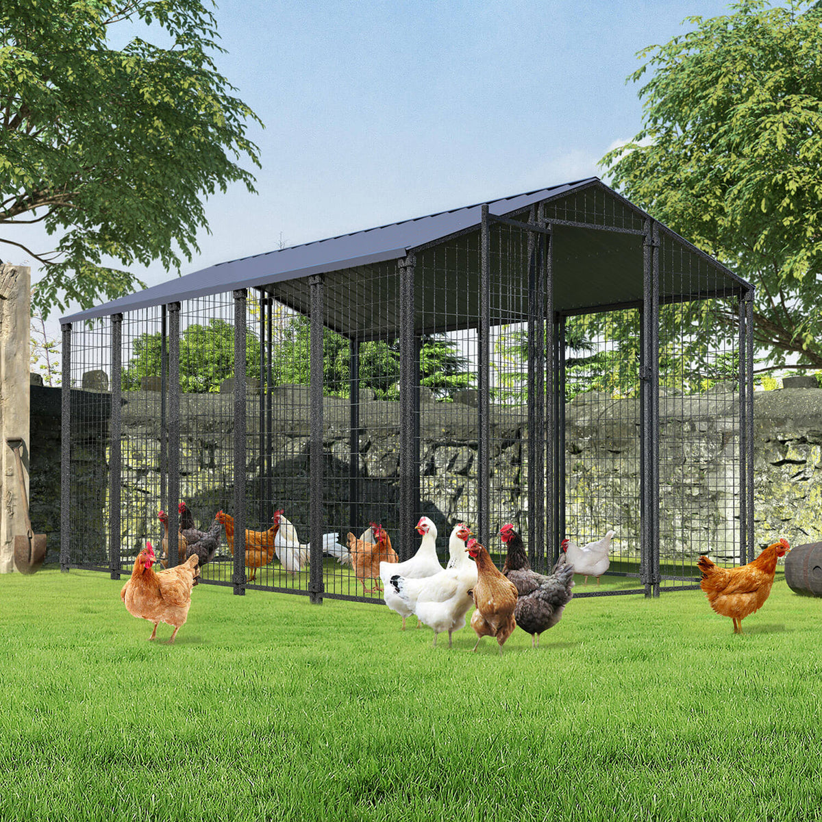Metal Chicken Coop for 15 Chickens, Walk in Chicken Cage with Steel Roof