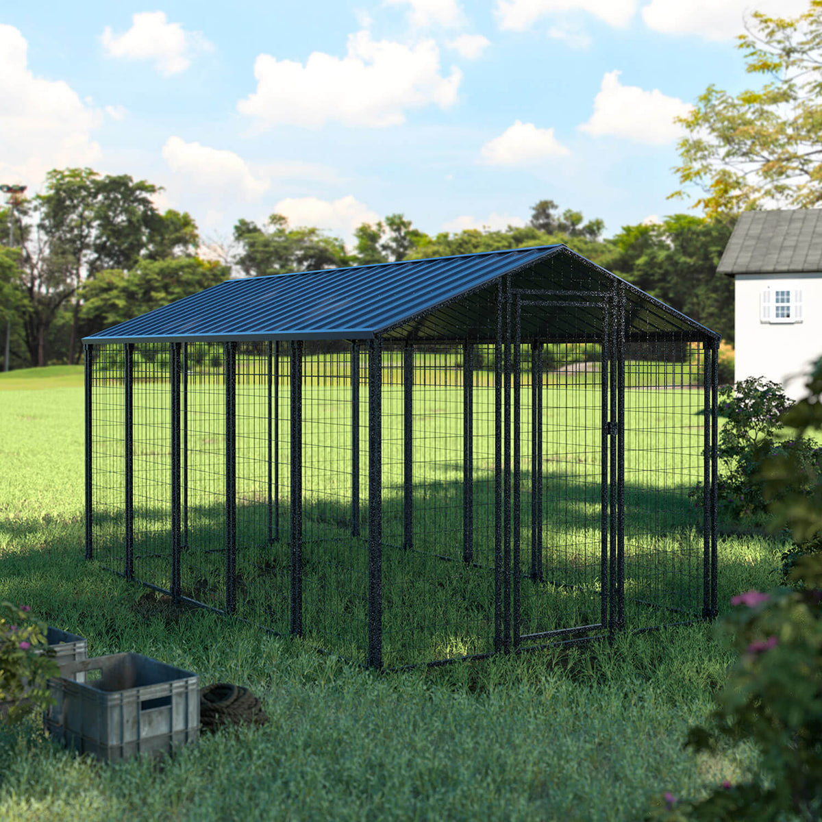 large chicken run with roof