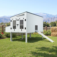 Chicken Coop Large Hen House