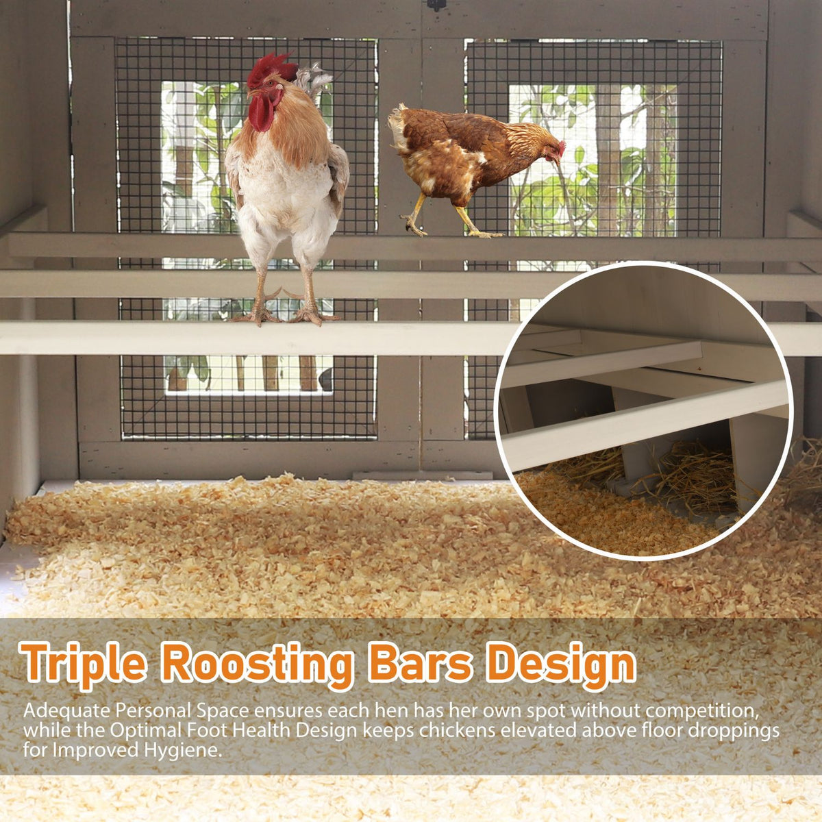 Wooden Poultry Cage with Triple Roosting Bars