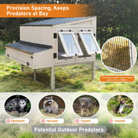 Predator-Resistant Poultry Coop