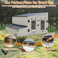 Chicken Coop with Nesting Box