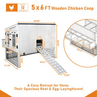 Chicken Coop for 12 Chickens