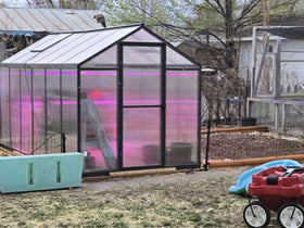 customer's actual photos showing the use of Veikous greenhouse