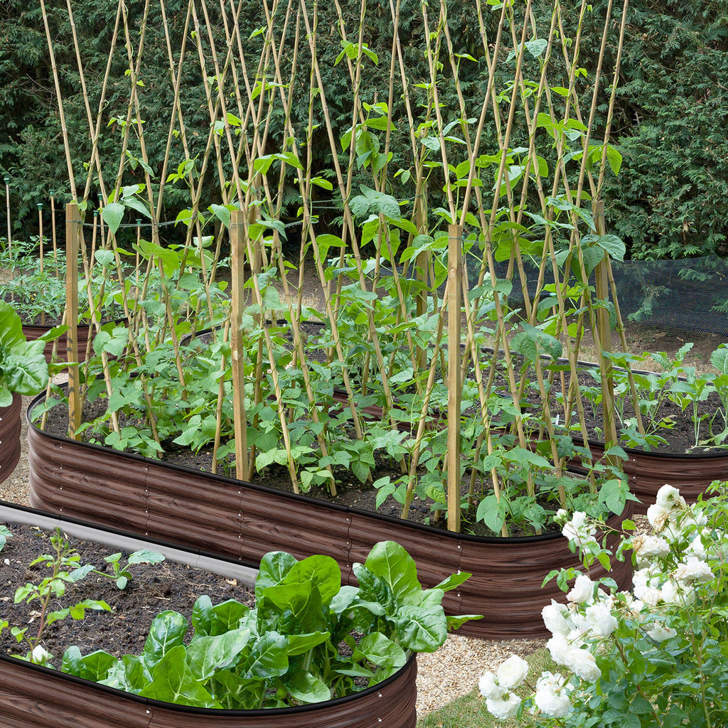 Galvanized Steel Garden Beds, Brown
